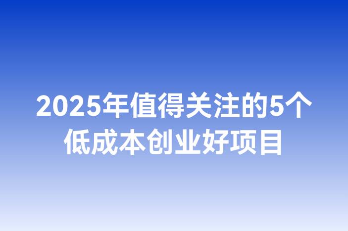 2025年值得关注的5个低成本创业好项目