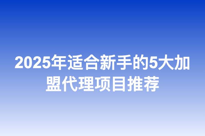 2025年适合新手的5大加盟代理项目推荐