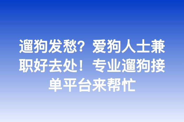 遛狗发愁？爱狗人士兼职好去处！专业遛狗接单平台来帮忙