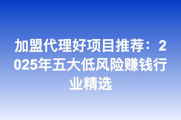 加盟代理好项目推荐：2025年五大低风险赚钱行业精选-企谈