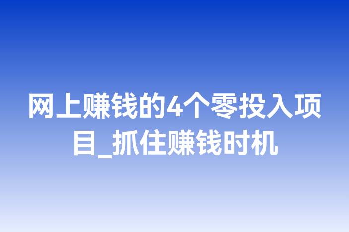 网上赚钱的4个零投入项目_抓住赚钱时机