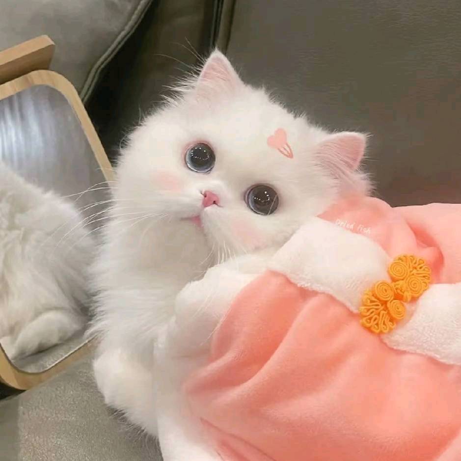 。。