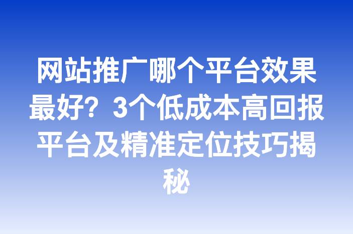网站推广哪个平台效果最好？3个低成本高回报平台及精准定位技巧揭秘