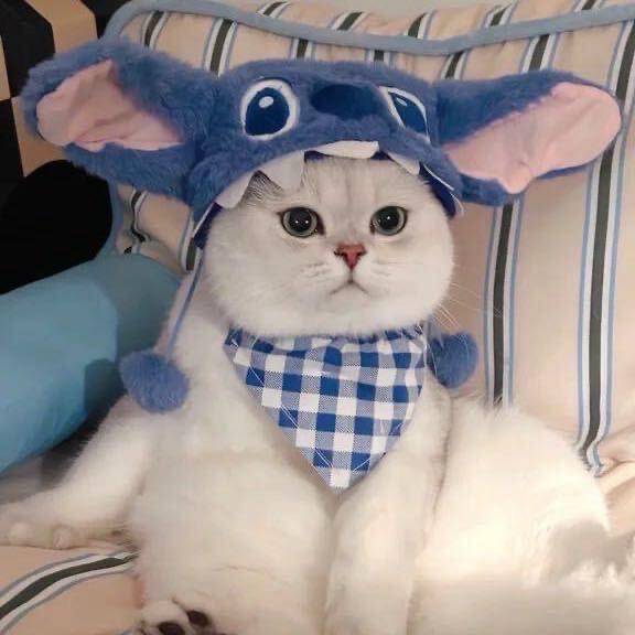 硕子