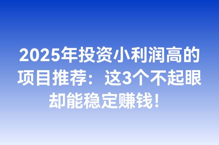 2025年投资小利润高的项目推荐：这3个不起眼却能稳定赚钱！