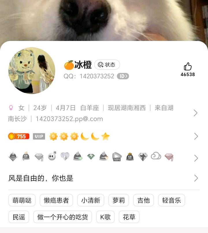 .Detail.release_content.title