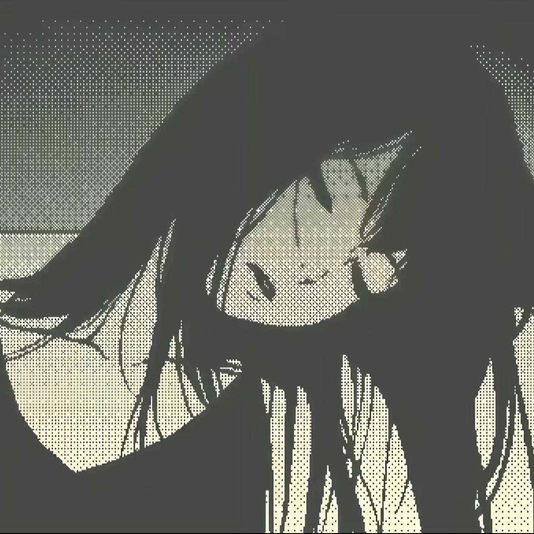 抖音项目