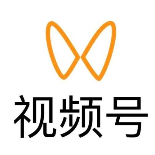 杨女士