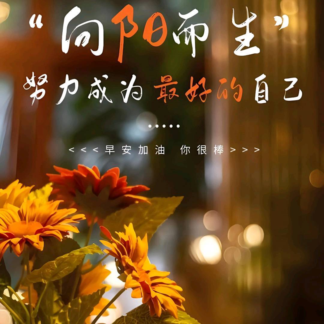 马女士