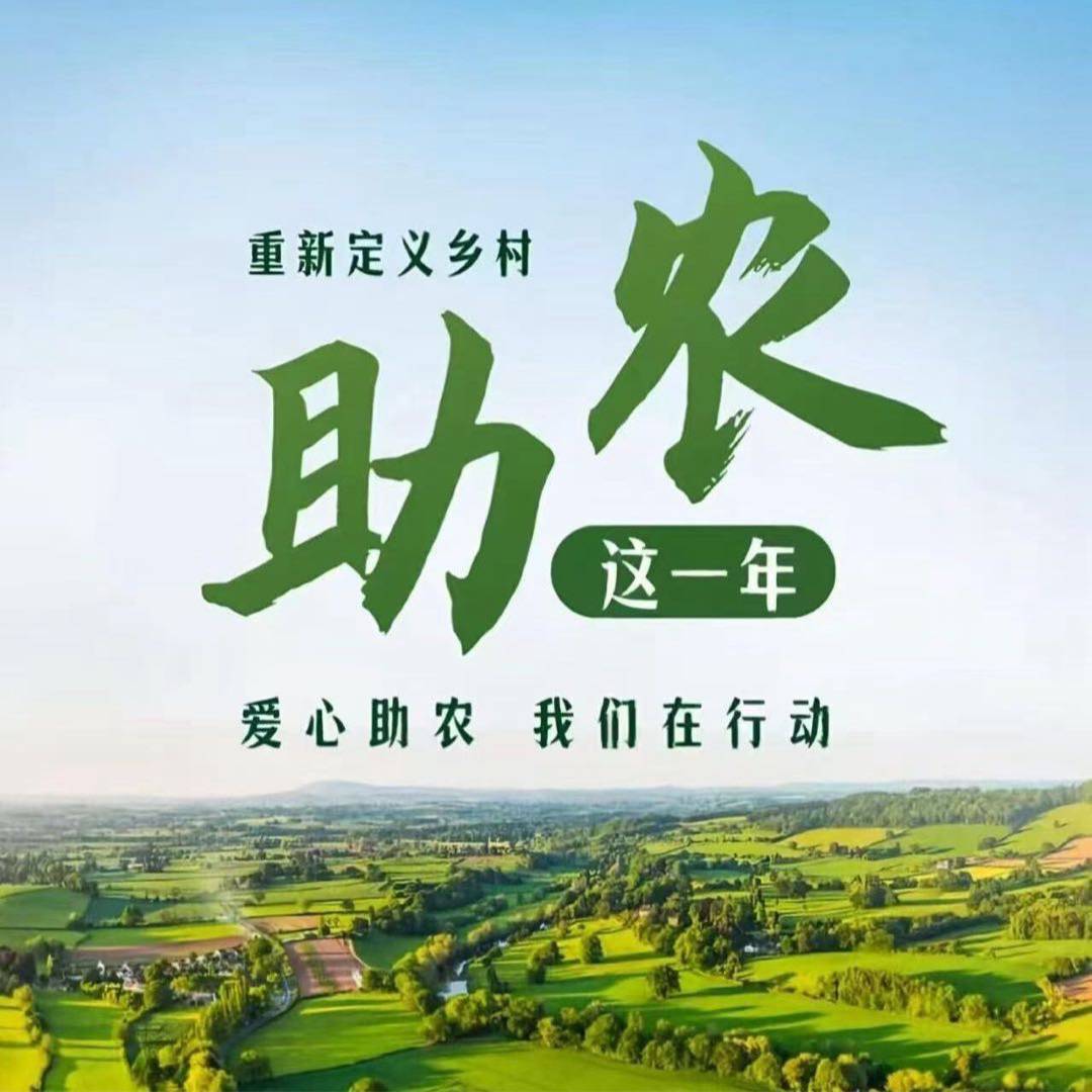 侯女士